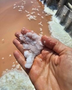 Pure saline at Salt crystals at Margherita di Savoia